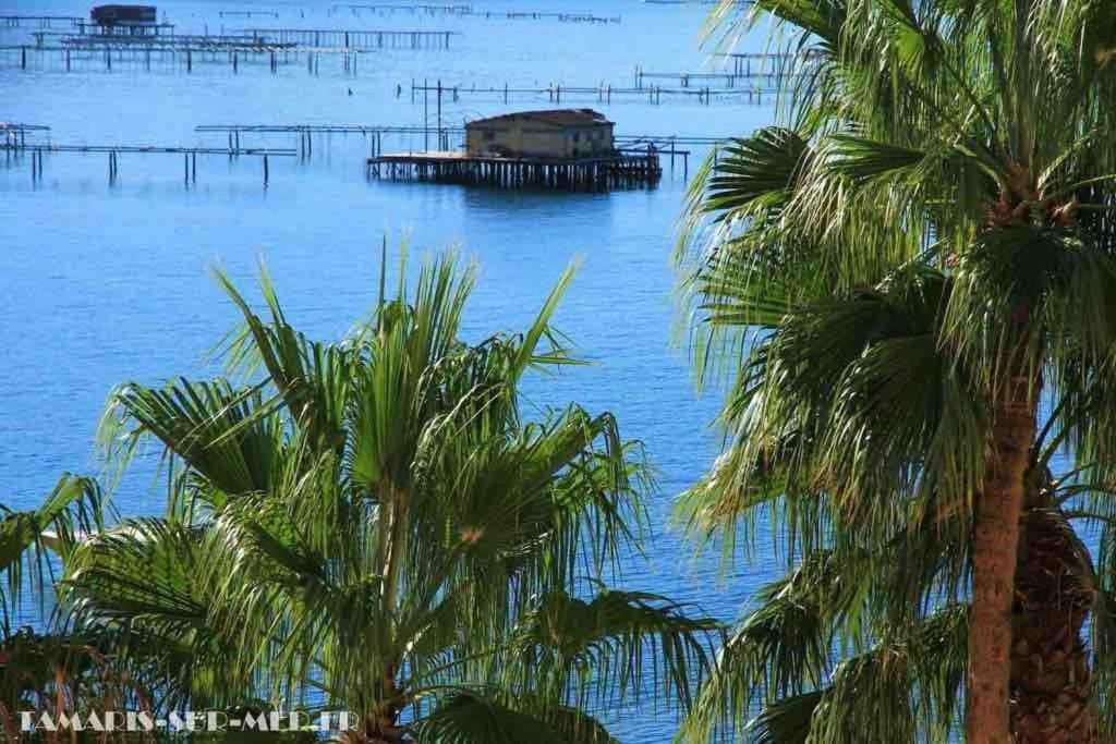 Les Pieds Dans L'Eau Apartment La Seyne-sur-Mer Ngoại thất bức ảnh